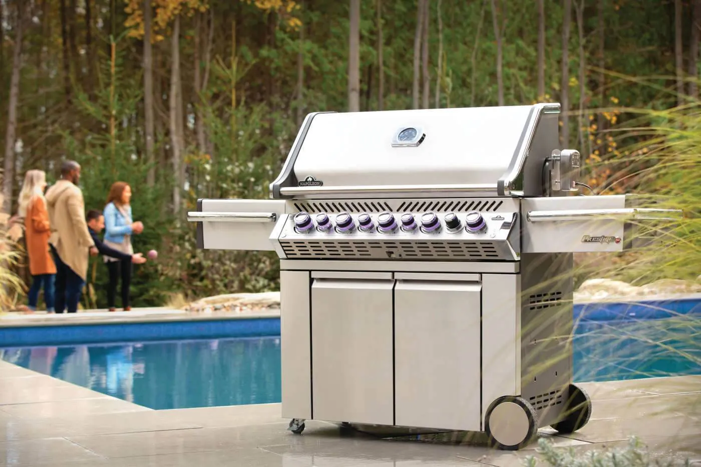Prestige PRO™ 665 RSIB by Napoleon
