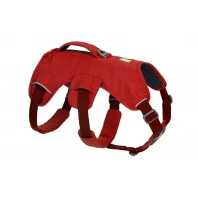 Web Master Harness